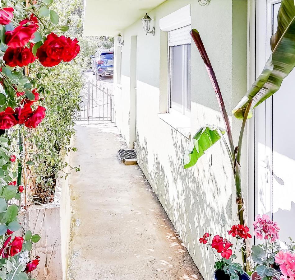 Apartments Siesta Τίβατ Εξωτερικό φωτογραφία